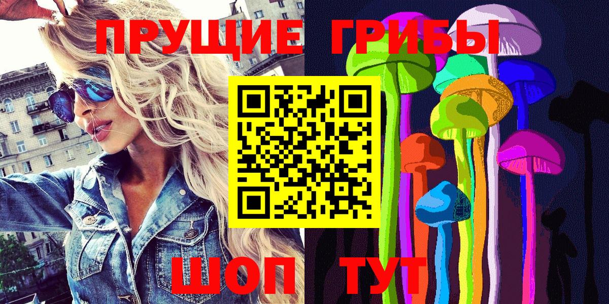 Рассказово  Псилоцибиновые грибы Psilocybine cubensis  Вход с VPN 