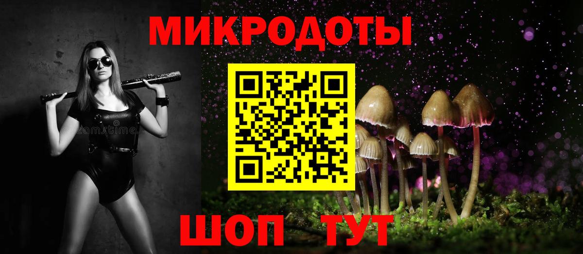 Галлюциногенные грибы Psilocybine cubensis Рассказово